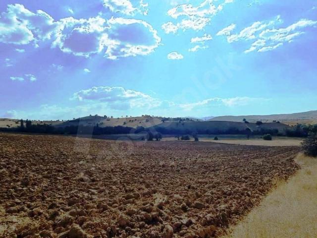 Cebrail Köyü, Gediz içerisinde satılık Arsa