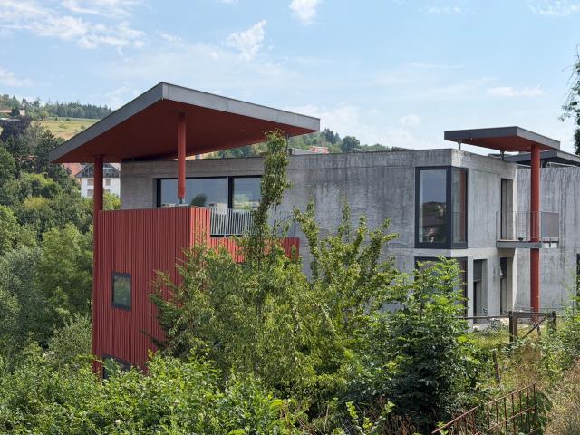 Haus kaufen in Endingen, Aargau