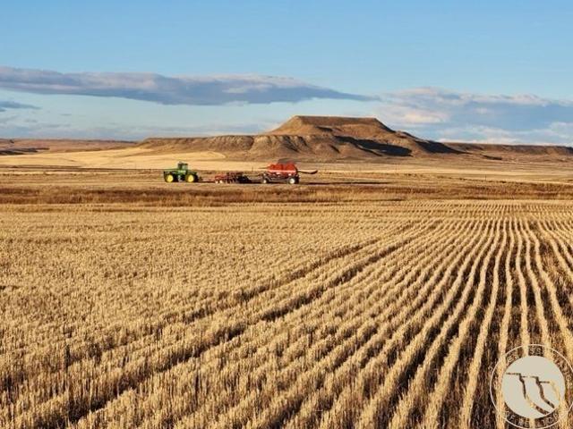 Land for sale in Rapelje, Montana