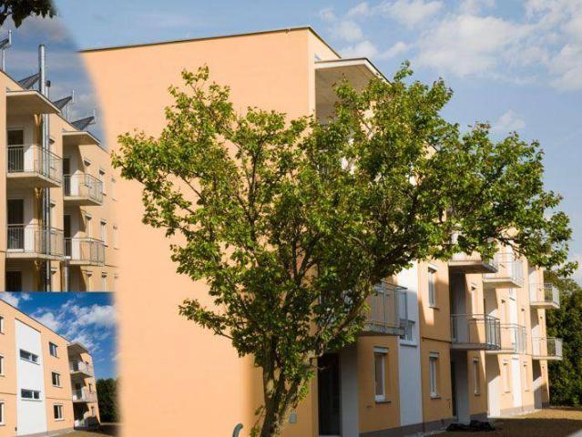 Apartment mieten in Gratkorn, Steiermark