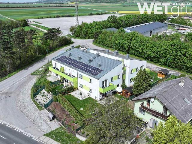 Apartment mieten in Prellenkirchen, Niederösterreich