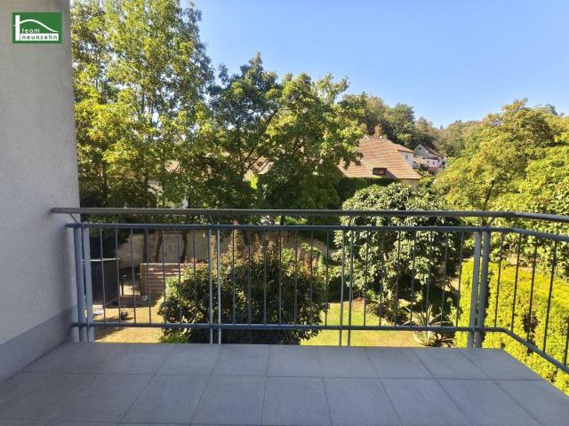 Apartment mieten in Krems an der Donau, Niederösterreich