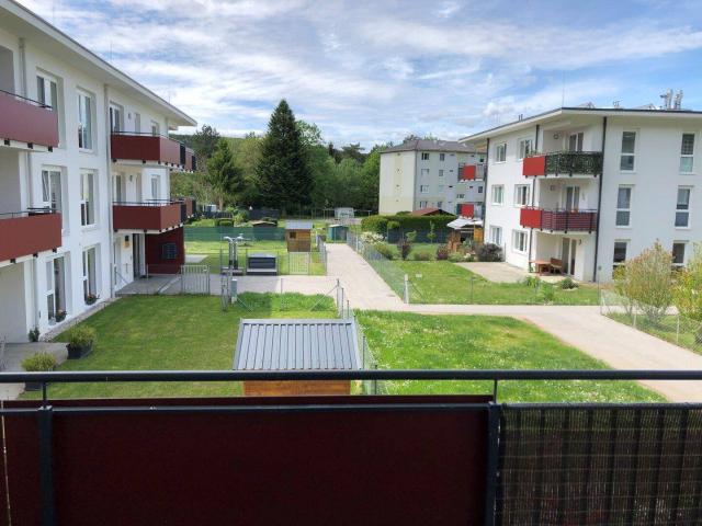 Apartment mieten in Katastralgemeinde Pitten, Pitten
