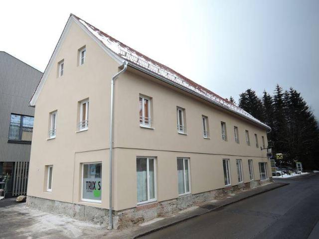 Apartment mieten in Hollersbach, Stanz im Mürztal