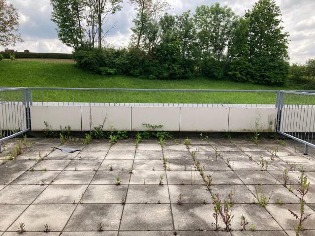 Apartment mieten in St. Nikolai ob Draßling, Steiermark