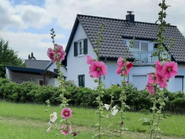Haus kaufen in Barendorf, Dassow