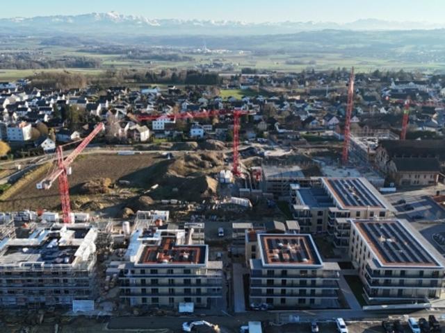 Wohnung kaufen in Berg (TG), Thurgau