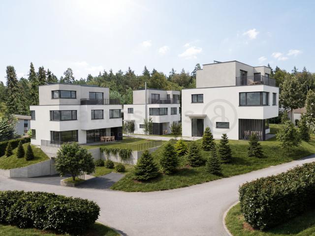 Reihenfamilienhaus kaufen in Dietikon, Zürich