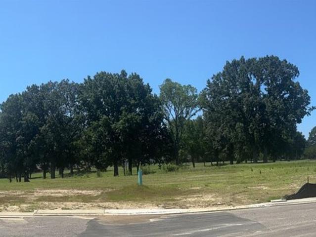 Land for sale in Cordova