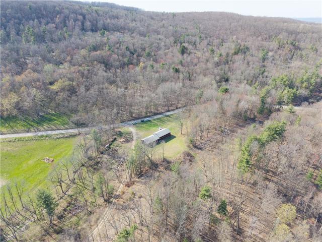 Land for sale in Dansville, New York