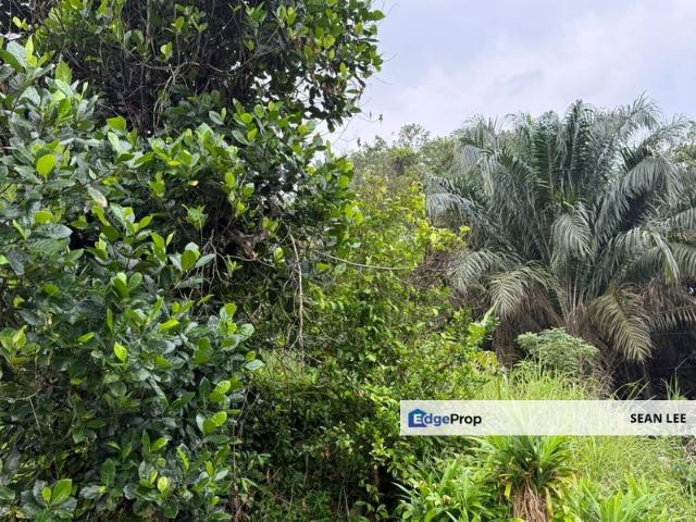 Warehouse for sale in Johor Bahru, Johor