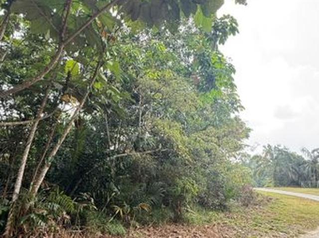 Shop for sale in Johor
