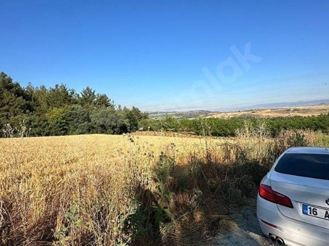 Yenişehir, Bursa içerisinde satılık Arsa