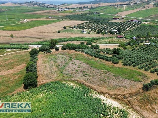 Çukurova, Adana içerisinde satılık mülk
