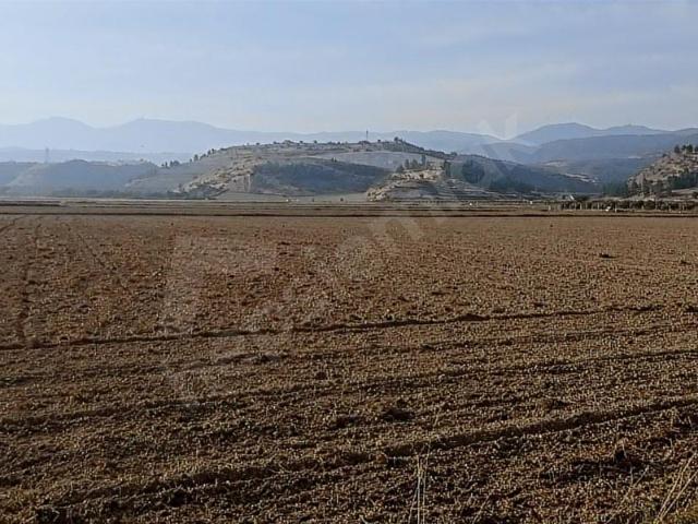 Sarayköy, Denizli içerisinde satılık Arsa