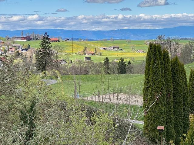 Wohnung kaufen in Le Mouret, Freiburg