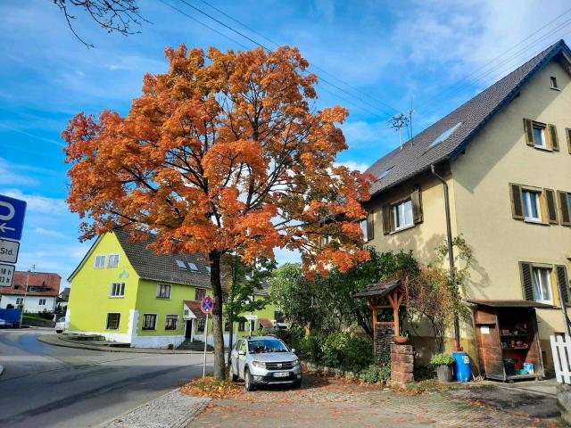 Haus kaufen in Affalterbach, Baden-Württemberg
