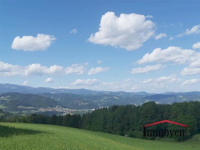Einfamilienhaus kaufen in Edelschrott, Steiermark