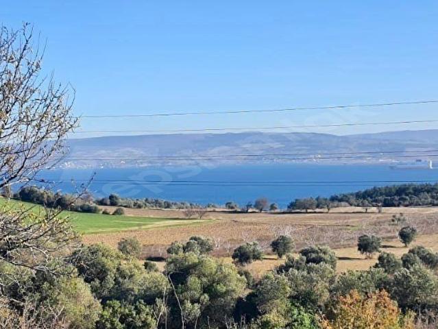Düzler Ovası, Gelibolu içerisinde satılık Arsa