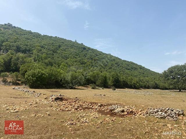 Körüsten, Kaş içerisinde satılık Arsa