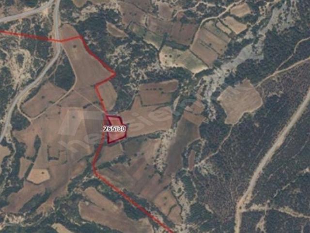 Tayfur, Gelibolu içerisinde satılık mülk