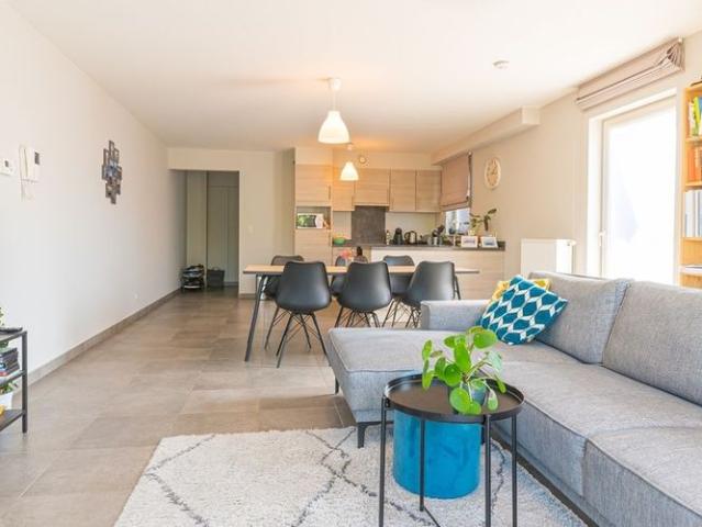 Appartement location à Hamme, Oost-Vlaanderen