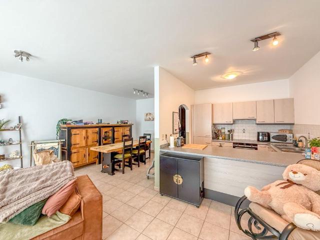 Appartement location à Tienen, Brabant