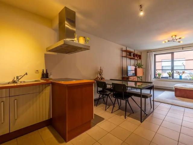 Appartement location à Montaigu-zichem, Brabant