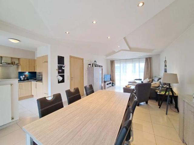 Appartement location à Peer, Limburg
