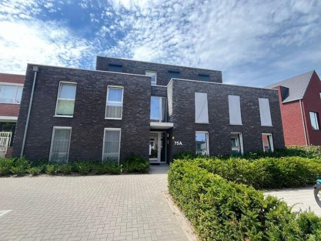 Appartement location à Hoogstraten, Antwerpen