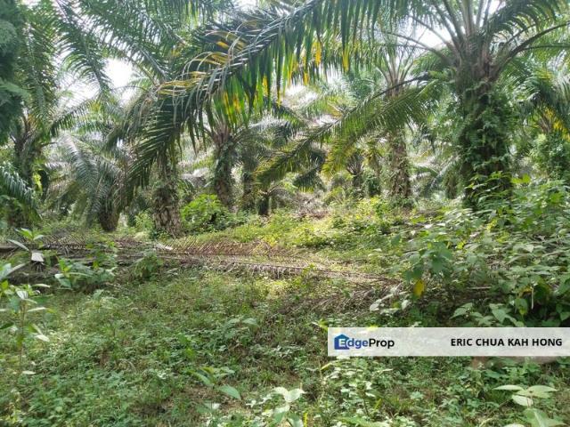 Shop for sale in Perak