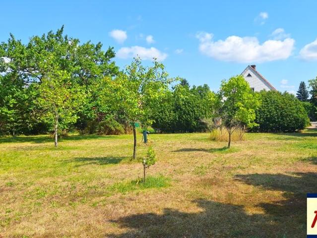 Grundstück kaufen in Traismauer, Niederösterreich
