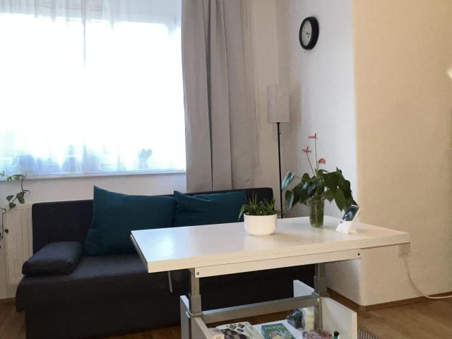 Immobilie mieten in Innere Stadt, Wien