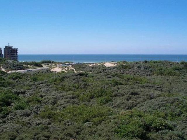 Kot location à Koksijde