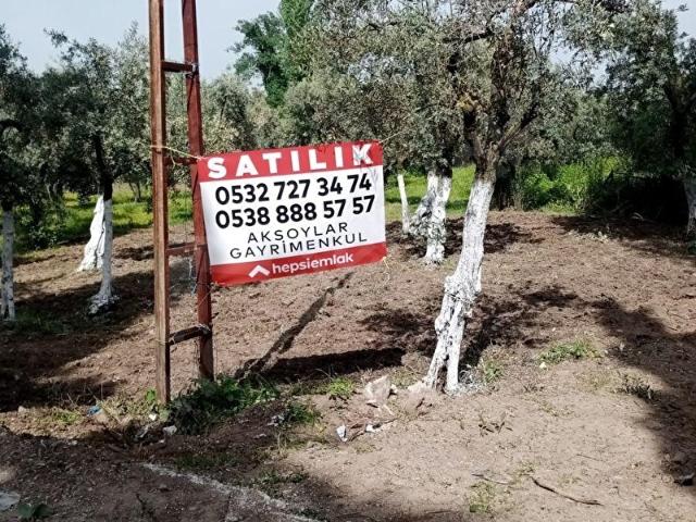 Orhangazi, Bursa içerisinde satılık Arsa