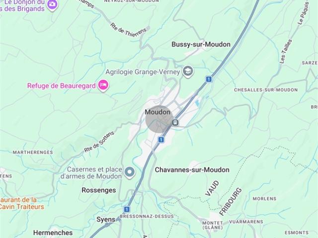 Wohnung kaufen in Moudon, Waadt