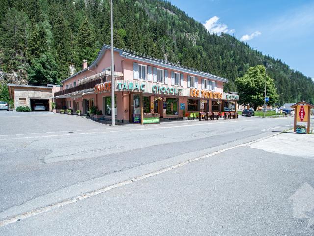 Immobilie kaufen in Finhaut, Wallis