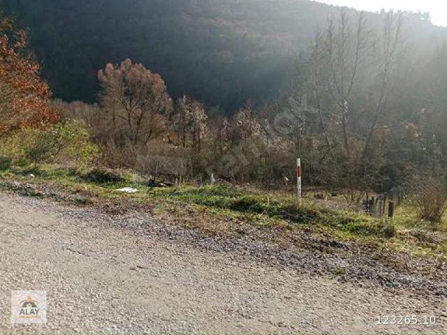 Fındıcak, Gemlik içerisinde satılık mülk