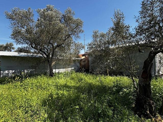Gemlik, Bursa içerisinde satılık mülk