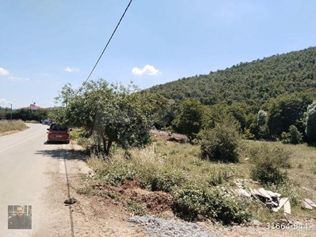 Gemlik, Bursa içerisinde satılık Arsa