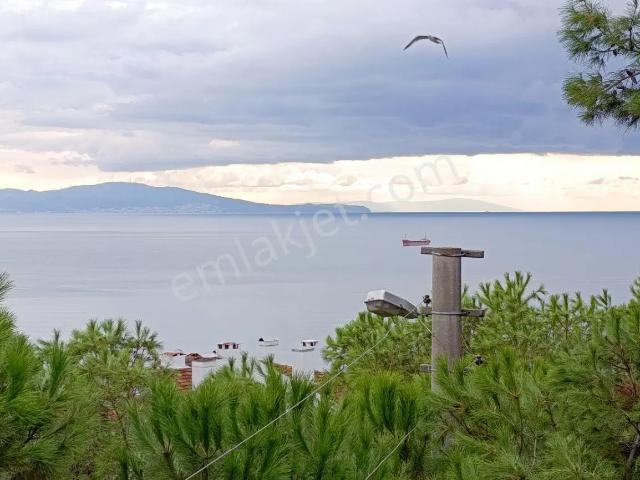 Cumhuriyet, Gemlik içerisinde satılık mülk