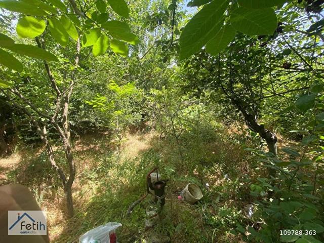 Gemlik, Bursa içerisinde satılık Arsa