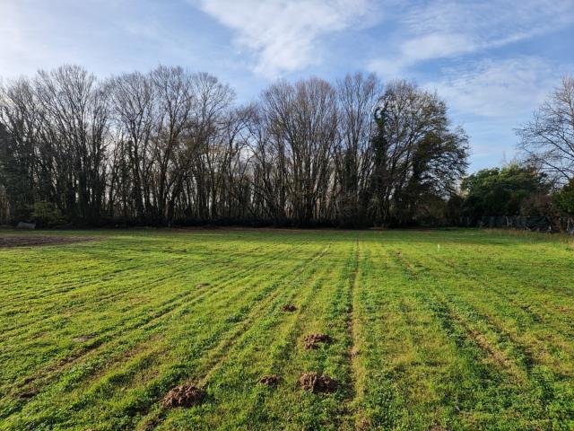 Terrain vente à France métropolitaine, Gémozac