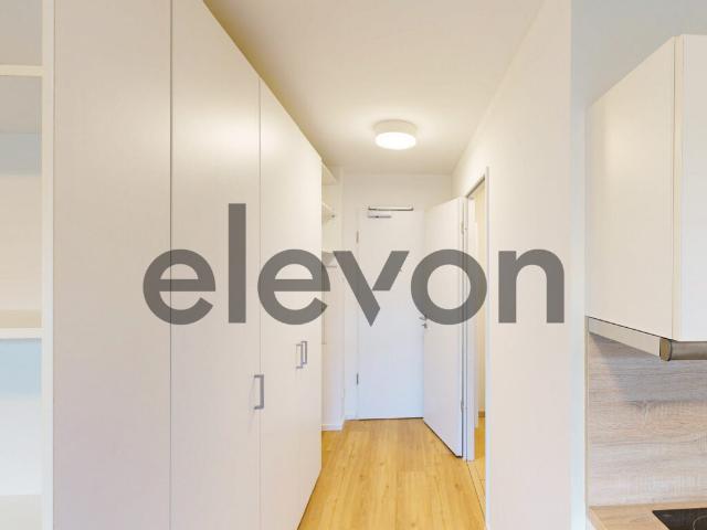 Apartment mieten in Mainz, Rheinland-Pfalz