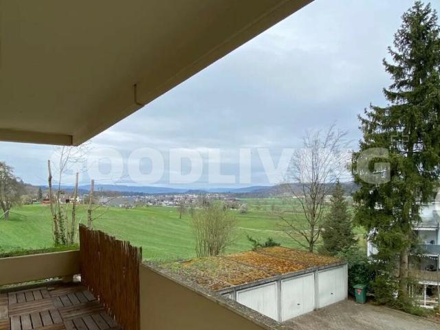 Wohnung kaufen in Hallwil, Aargau