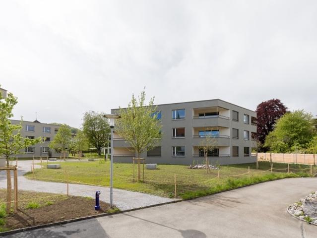 Wohnung mieten in Boniswil, Aargau