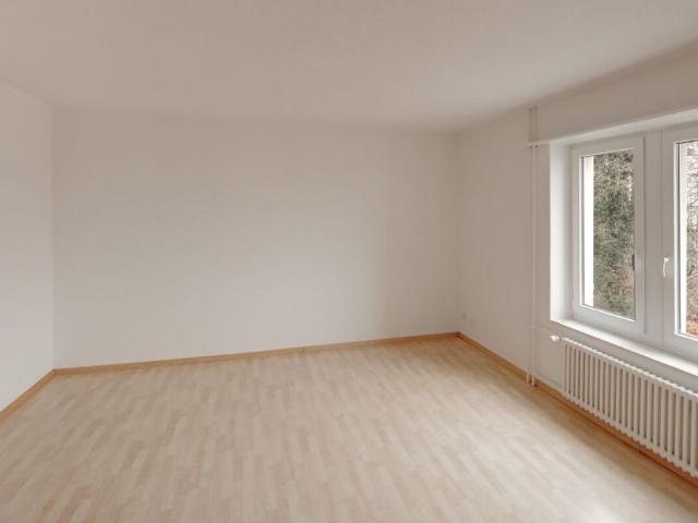 Apartment mieten in Neuhausen, Schaffhausen