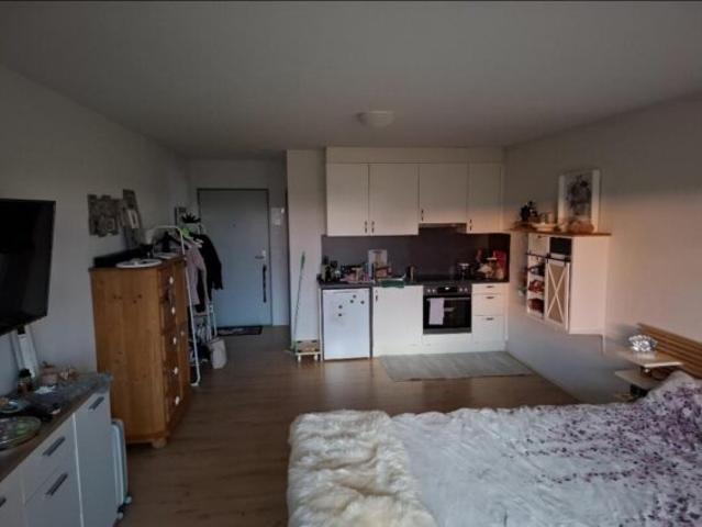 Apartment mieten in Müllheim Dorf, Thurgau