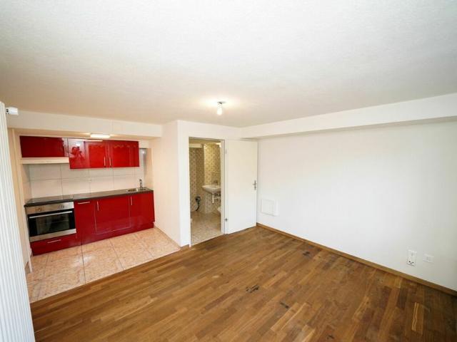 Apartment mieten in Waldhäusern, Bünzen