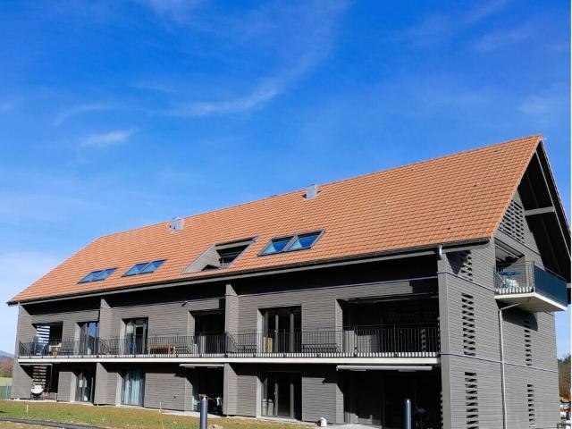 Dachwohnung kaufen in Rapperswil (BE), Bern